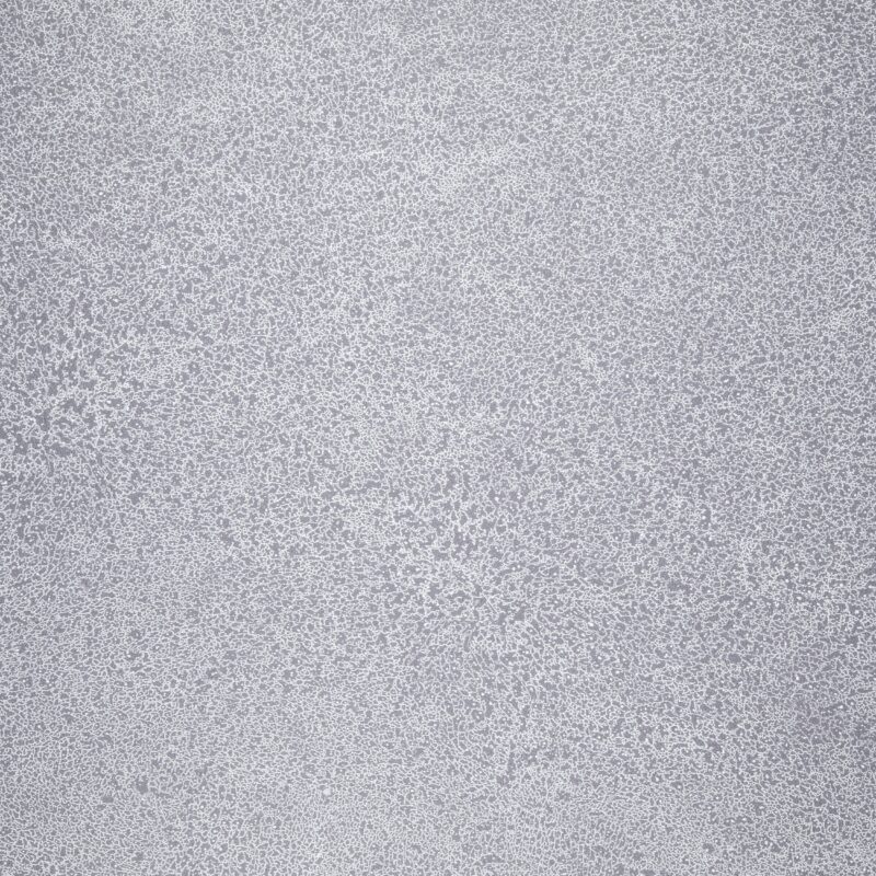 Novoflor Extra SPARKLE 2440-58