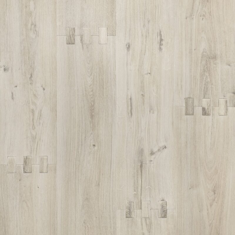 Novoflor Extra HELIA 2460-52