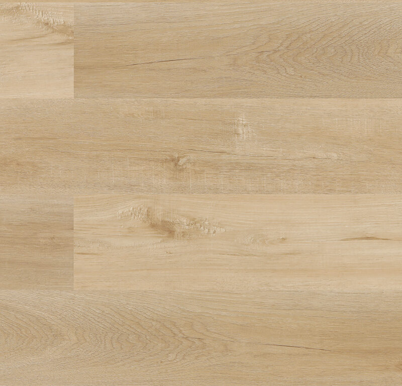 Experto Click SPC 30 Dub Corte 7118-202