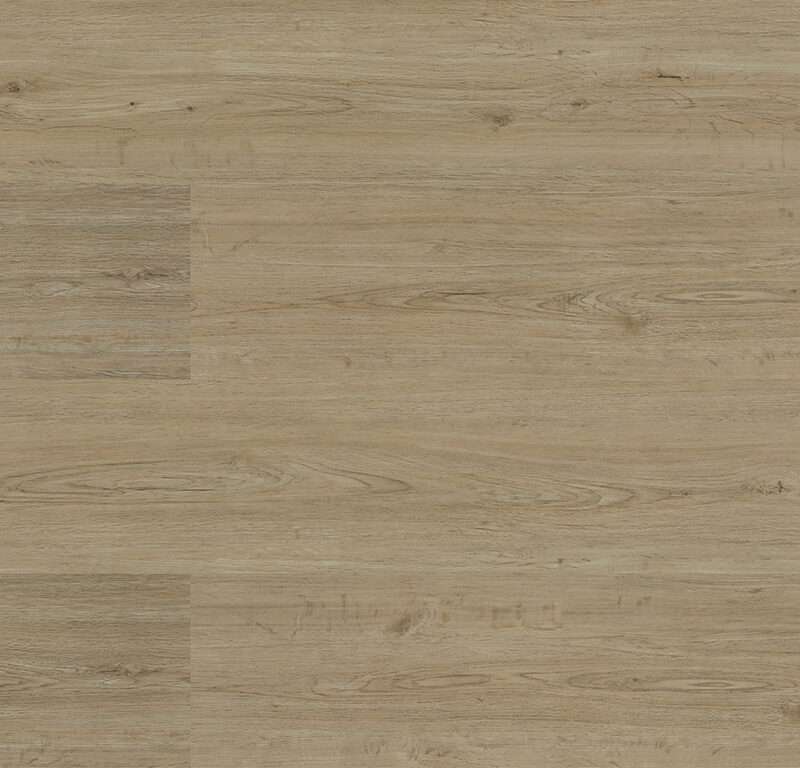 Experto Click SPC 30 Dub Forte 6111-18