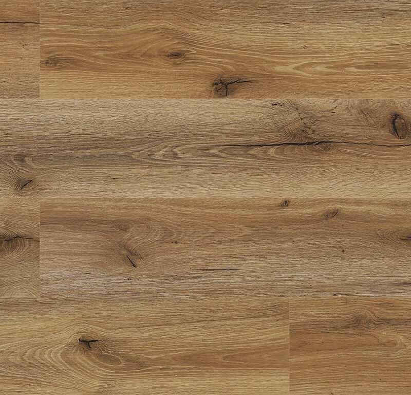 Experto Click SPC 30 Dub Gatto 1036H-2