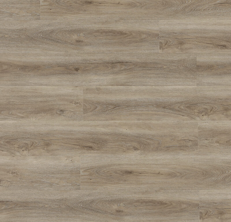 Experto click SPC 50 Dub Alicante 1026-3