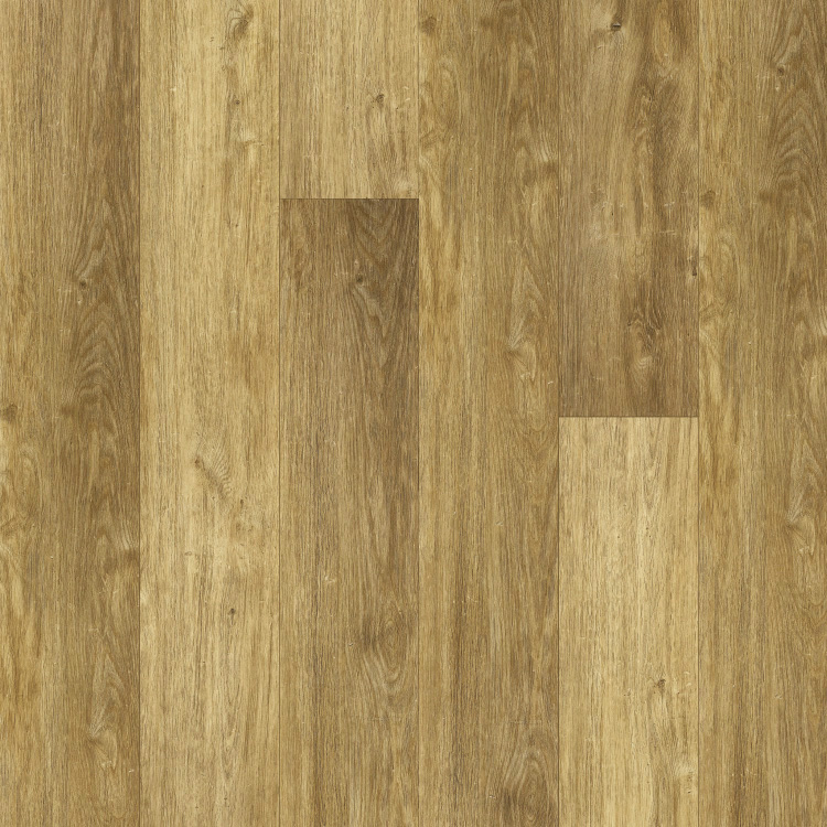 Thermofix PRO Art 18006 Buk mist