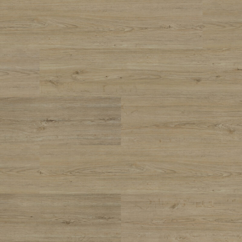 Experto click SPC 50 Dub Granada 6111-18