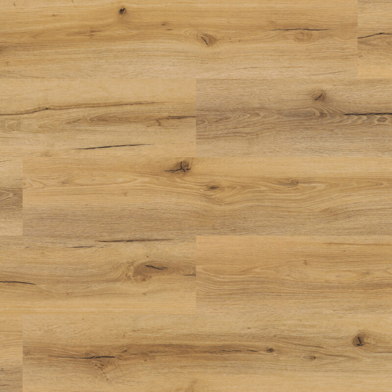 Experto click SPC 50 Dub Terrassa 1036-2