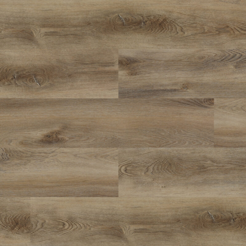 Experto click SPC 50 Dub Zaragoza 468-49-0