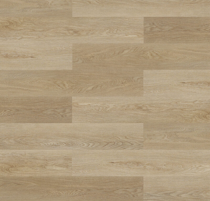 Experto click SPC 50 Dub Bari 88065L-008