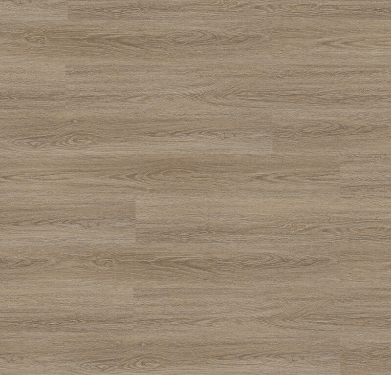 Experto click SPC 50 Dub Cadiz 223-2