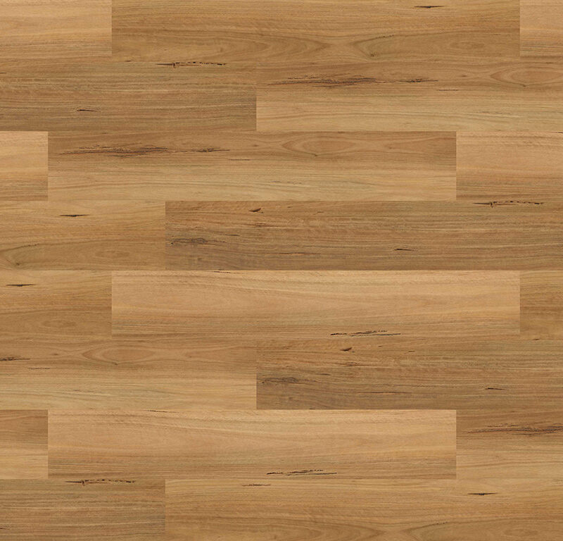 Experto click SPC 50 Dub Grosseto 1541-15