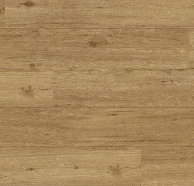 Experto click SPC 50 Dub Ravello 6110-71